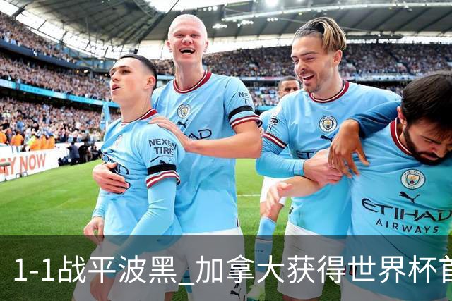 1-1战平波黑 加拿大获得世界杯首个积分